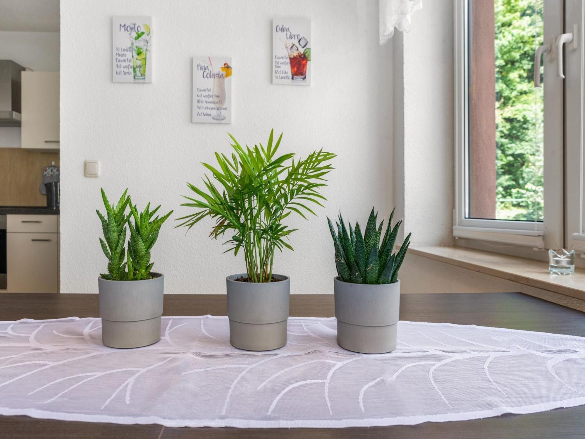 Modern Apartment In Sebnitz With A Terrace In 세브니츠 외부 사진
